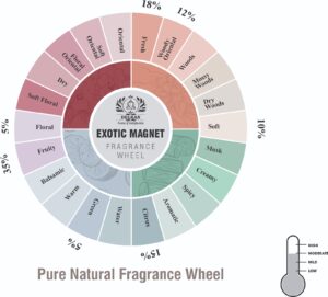Exotic Magnet fragrance oil wheel