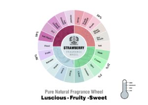 Strawberry fragrance oil wheel